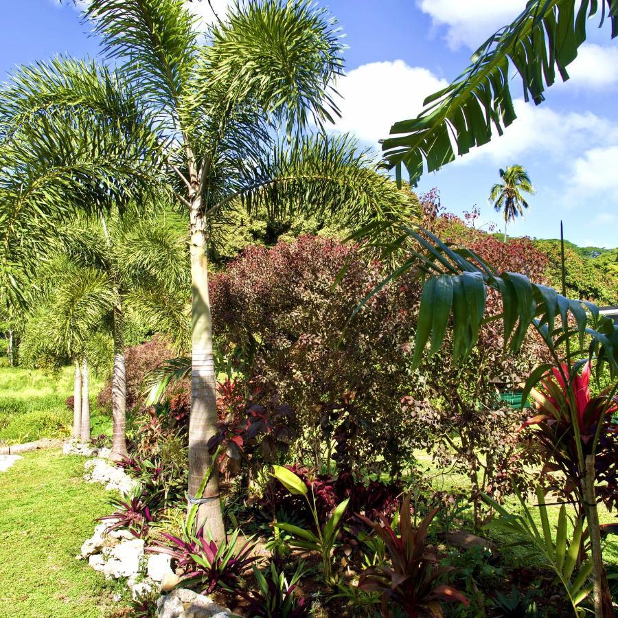 'Are Pepe One Bedroom Container Style Unit Rarotonga Exteriér fotografie